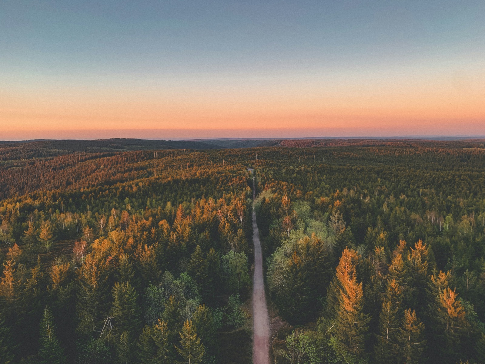 독일 블랙포레스트 12박 14일 대표 이미지